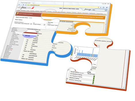 Salesforce.com Screenshot