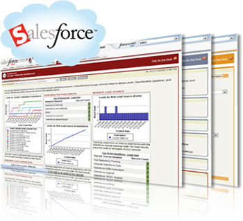 Salesforce.com Screenshots