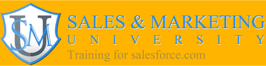 Sales and Marketing University